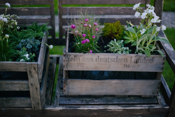 Ab in die Kiste | alte Holzkisten mit Blumen bepflanzen