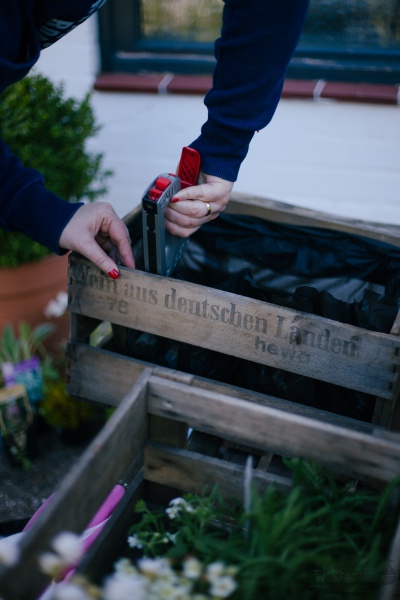 Ab in die Kiste | alte Holzkisten mit Blumen bepflanzen Rheinherztelbe