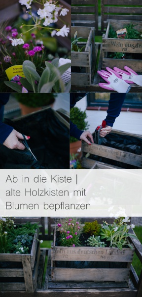 Ab in die Kiste | alte Holzkisten mit Blumen bepflanzen Rheinherztelbe 